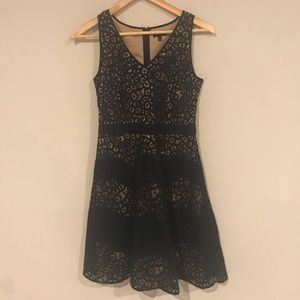 Navy Lace Detail Dress